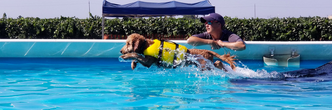 THE SWIMMING VEST FOR DOGS