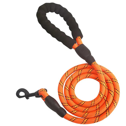 LUMINOUS SAFETY DOG LEASH