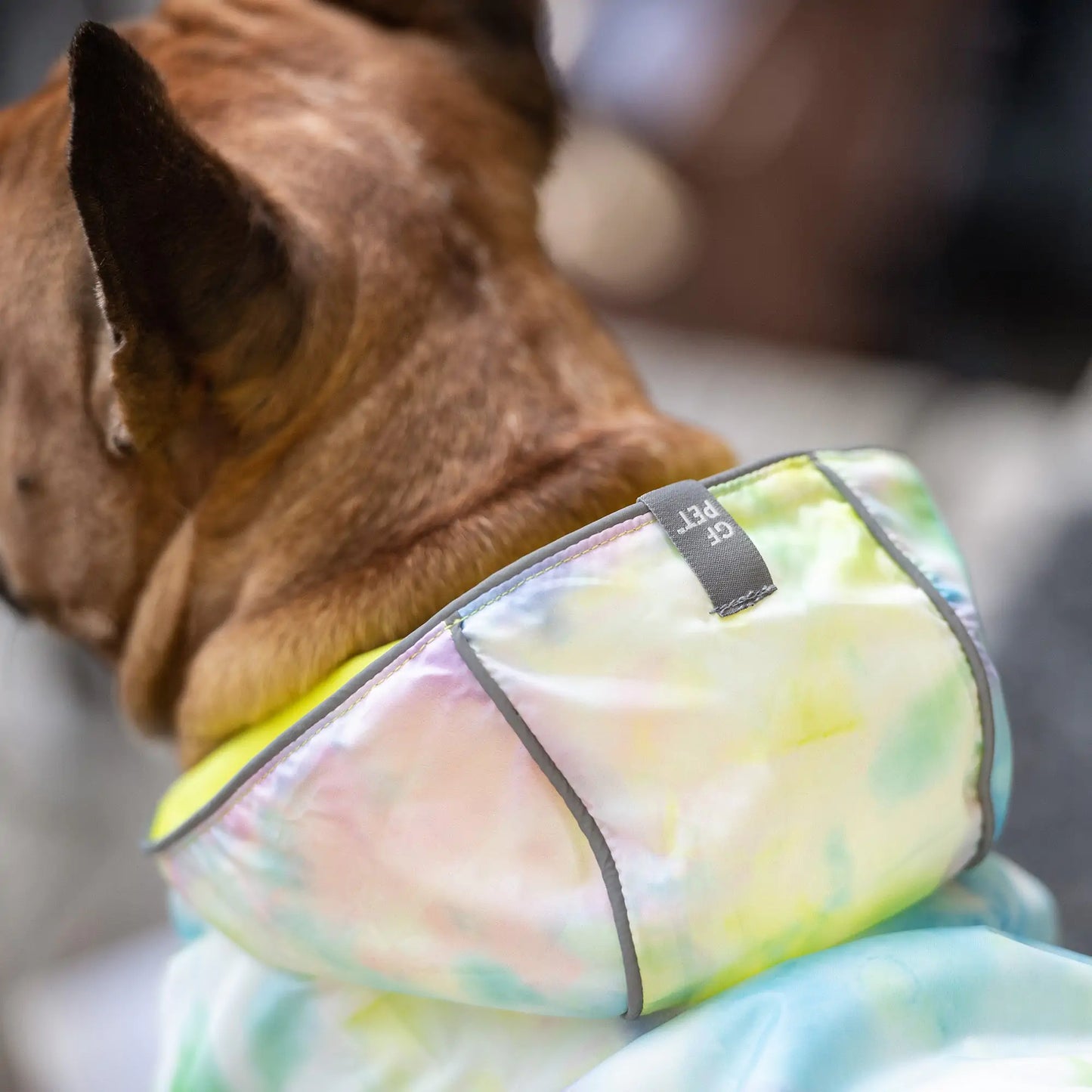 DUAL-SIDE DOG RAINCOAT - NEON AND TIE-DYE