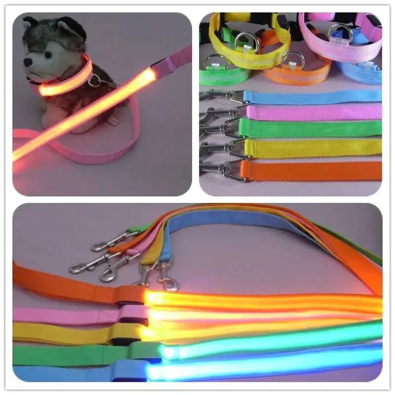 GLOWBRIGHT LED DOG LEASH