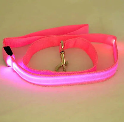 GLOWBRIGHT LED DOG LEASH