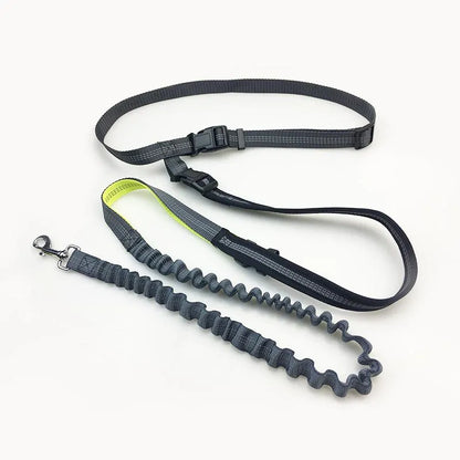 HANDSFREE BUNGEE DOG LEASH