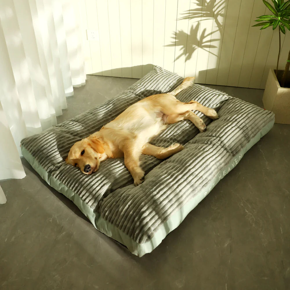 DREAMNEST EASYWASH DOG BED