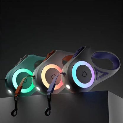 NIGHTGLOW LED DOG LEASH