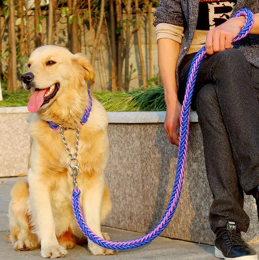 DURABLE LEASH SET FOR LARGE DOGS