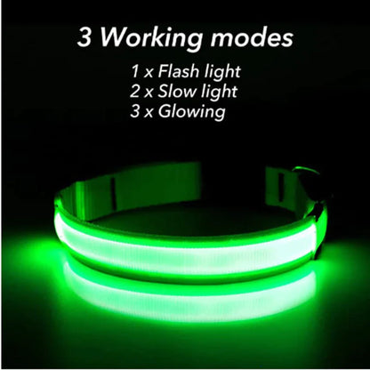 LED ADJUSTABLE DOG COLLAR