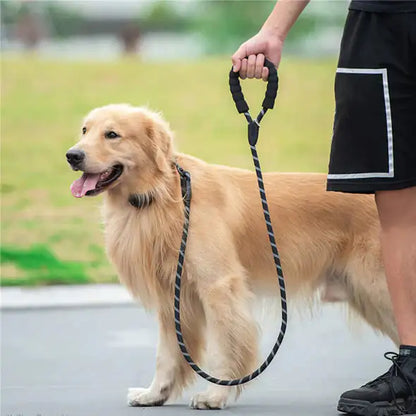 LUMINOUS SAFETY DOG LEASH