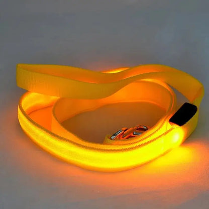 GLOWBRIGHT LED DOG LEASH