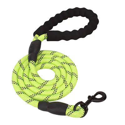 LUMINOUS SAFETY DOG LEASH