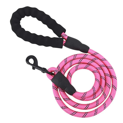 LUMINOUS SAFETY DOG LEASH